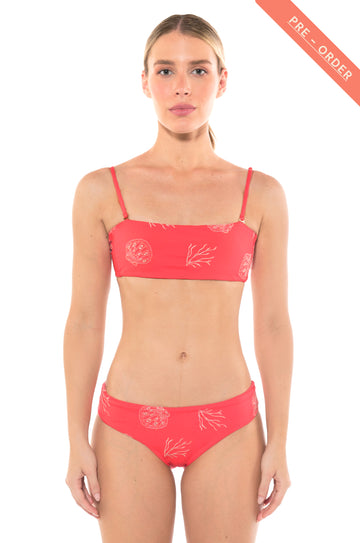 Top Roma Coral Dream (Pre-Order)