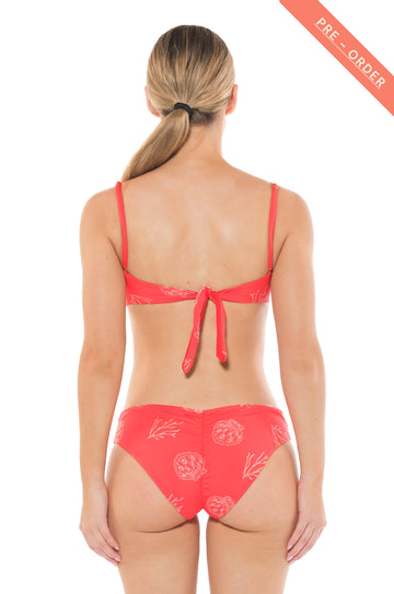 Bottom Carolina Coral Dream (Pre-Order)