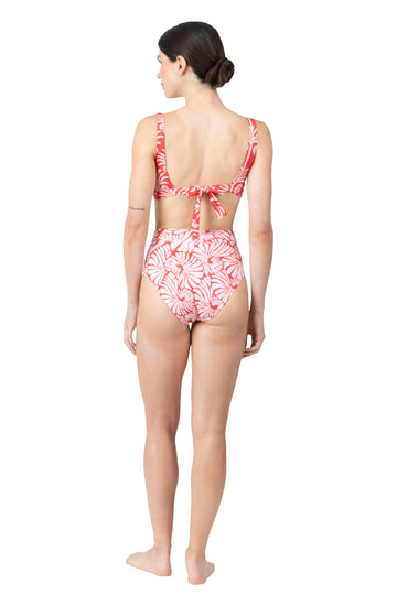 Lia Bottom | Solare Shells
