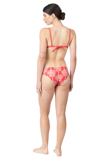 Carolina Bottom | Solare Palms