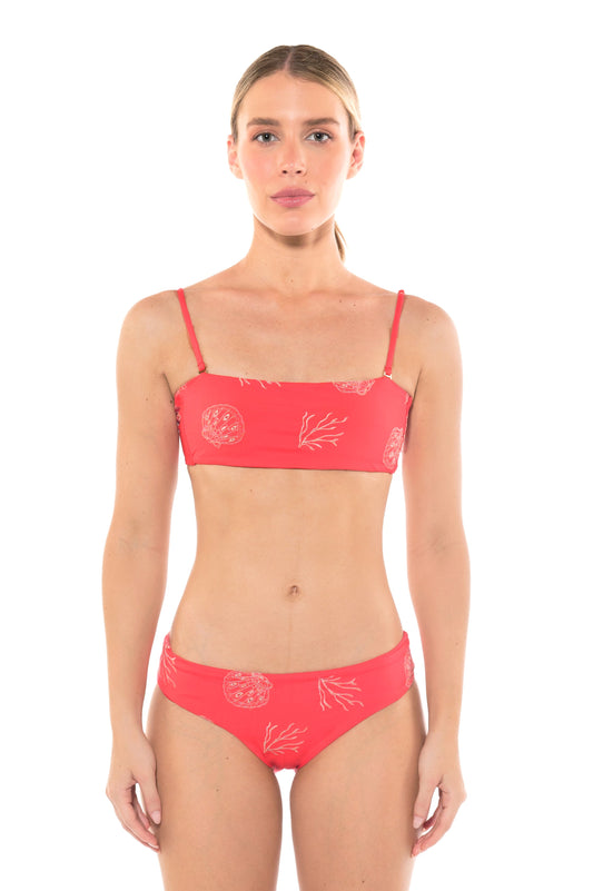 Bottom Carolina Coral Dream (Pre-Order)