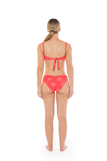 Carolina Bottom Coral Dream